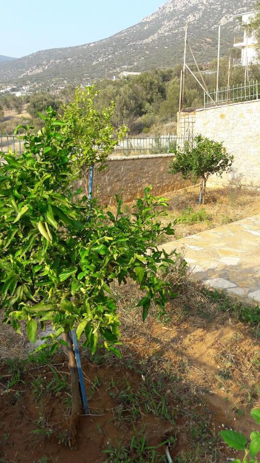 Εξωτικο Διαμερισμα Με Θεα Την Παραλια Αλυκης Villa Aliki  ภายนอก รูปภาพ